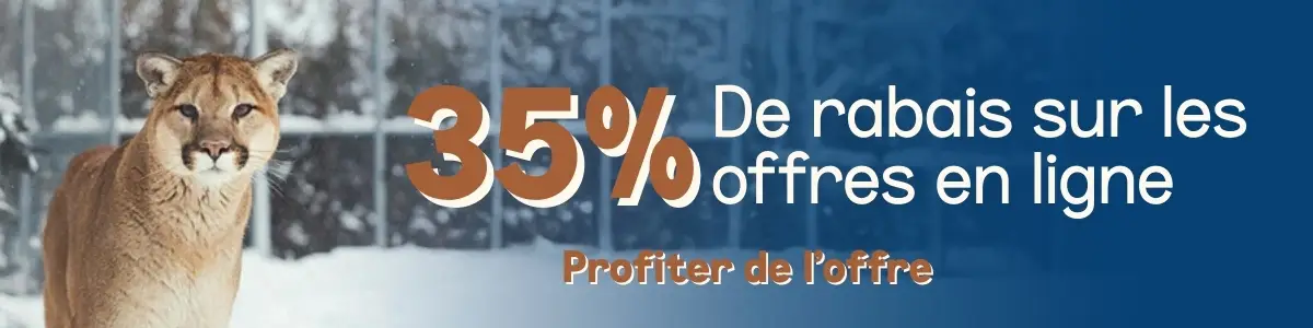 35% de rabais sur les offres en ligne