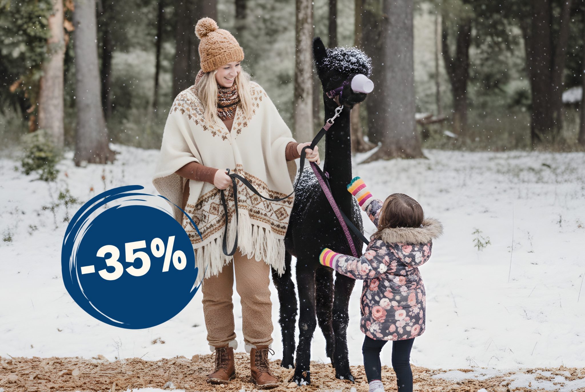 -35 % sur les balade avec un alpaga