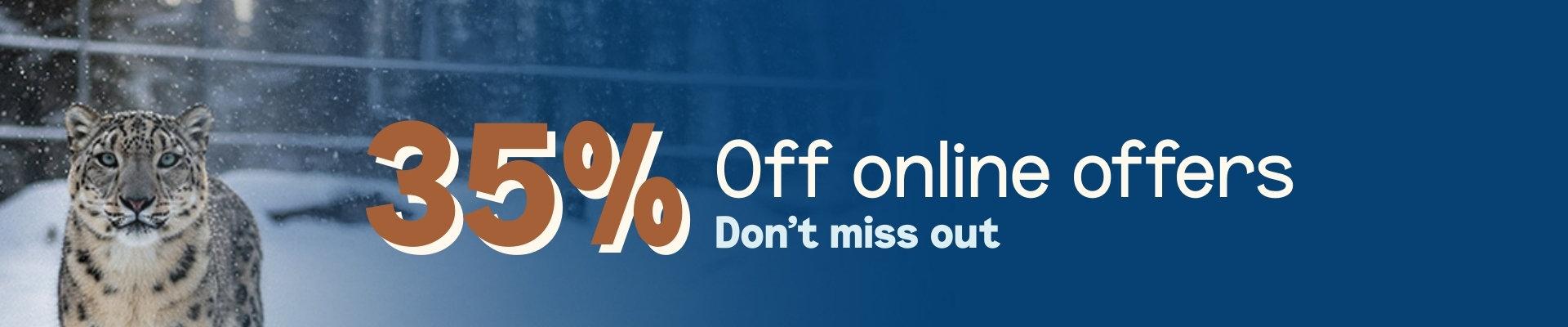 35% off all online offers
