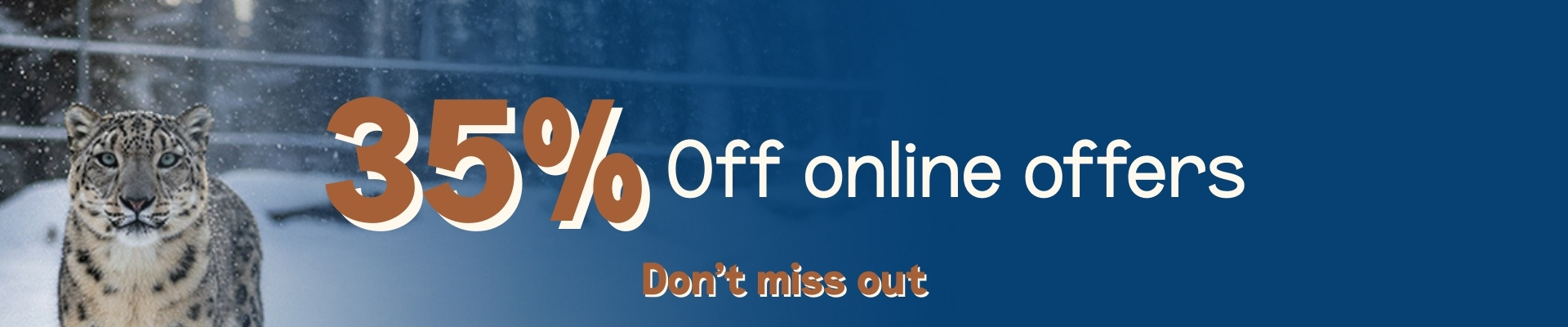 35 % off online offers