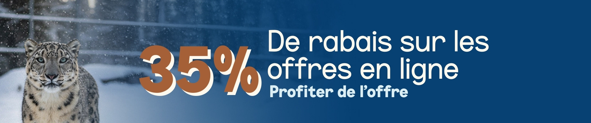 Promotion 35% de rabais sur toutes les offres en ligne