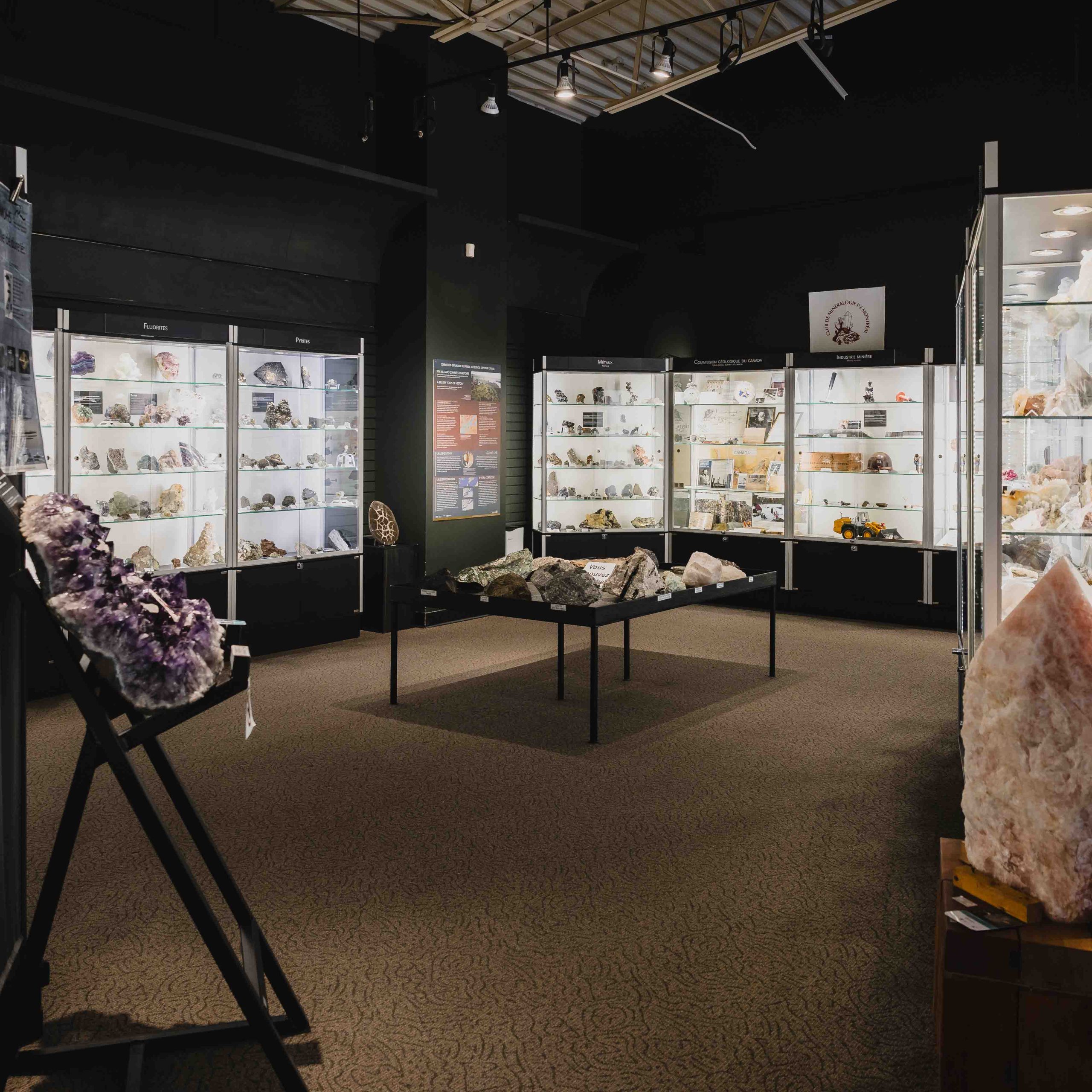 Le Pavillon des Découvertes est un espace intérieur immersif où les visiteurs explorent des collections de minéraux, de fossiles et d’objets naturels. Une activité éducative idéale pour compléter la visite du parc, peu importe la météo.