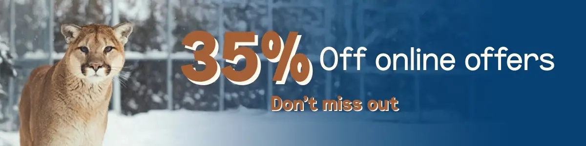 35% off online offers