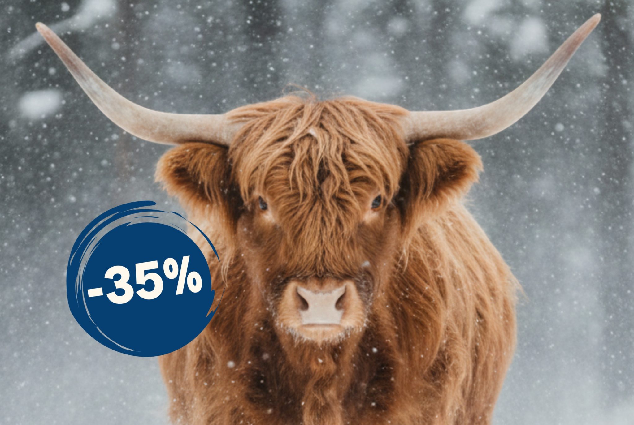 -35 % sur les abonnements annuels