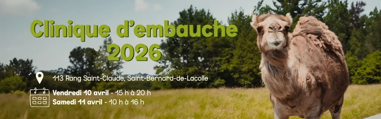 Clinique d'embauche 2026 Parc Safari