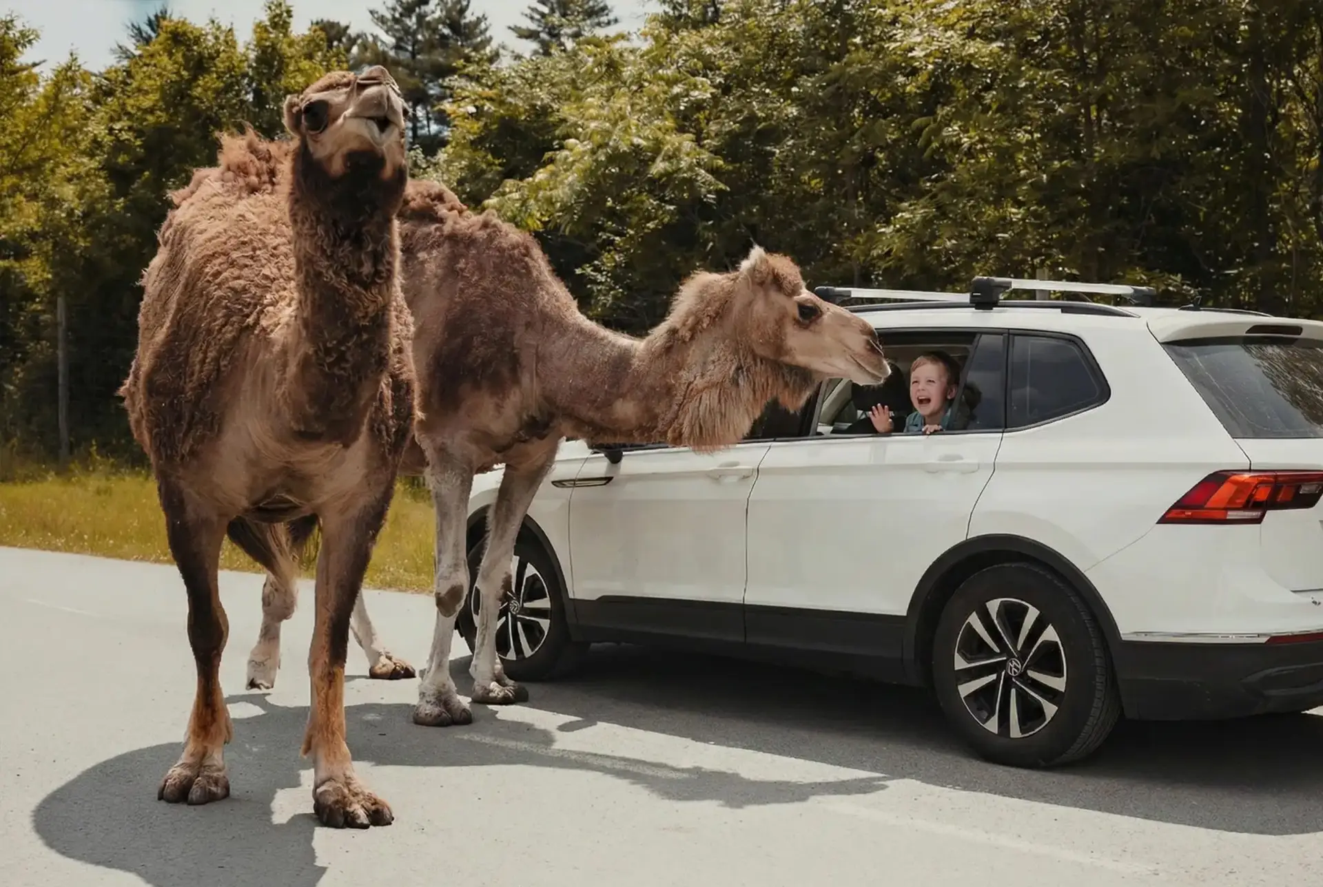 Billets d'un jour - Saison estivale