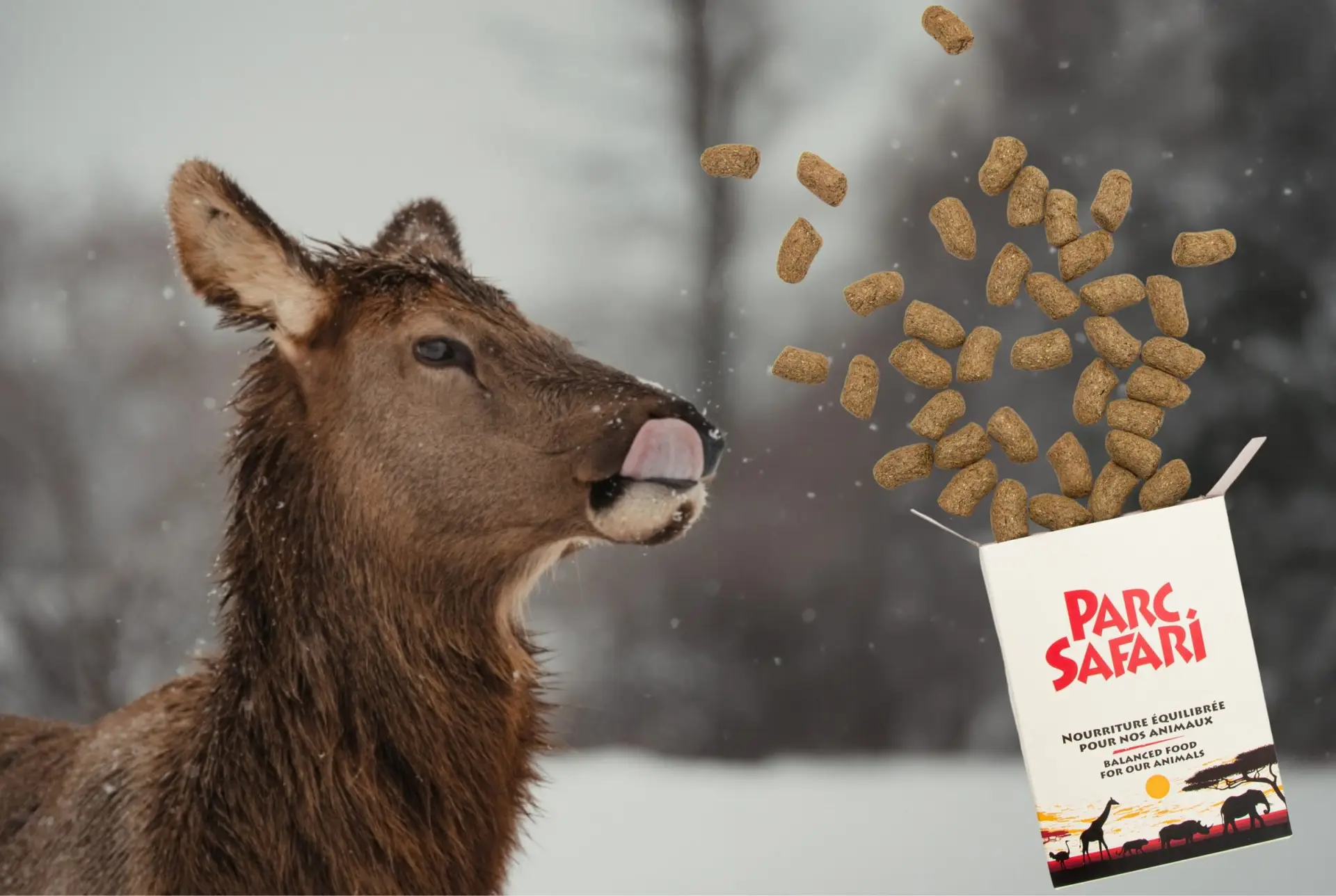 Nourriture pour animaux