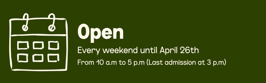 Heures d'ouverture Parc Safari